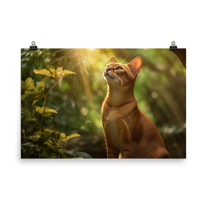 Elegance of Abyssinian Cats photo paper poster - Posterfy.AI