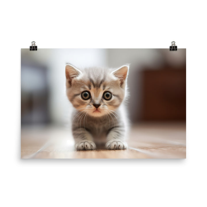 British Shorthair Kitten photo paper poster - Posterfy.AI