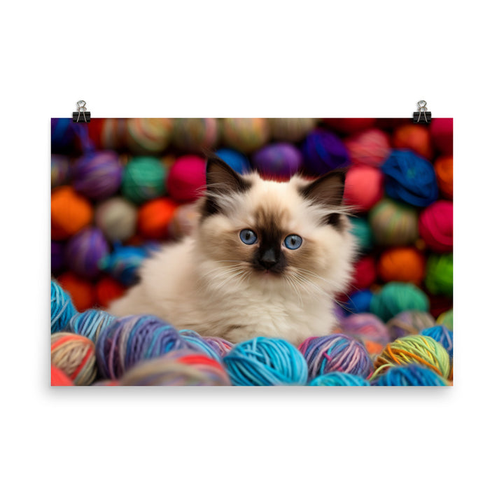 Birman Playtime photo paper poster - Posterfy.AI