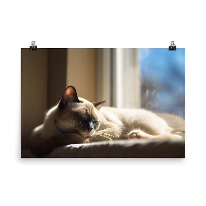 Sleeping Siamese on a Windowsill photo paper poster - Posterfy.AI