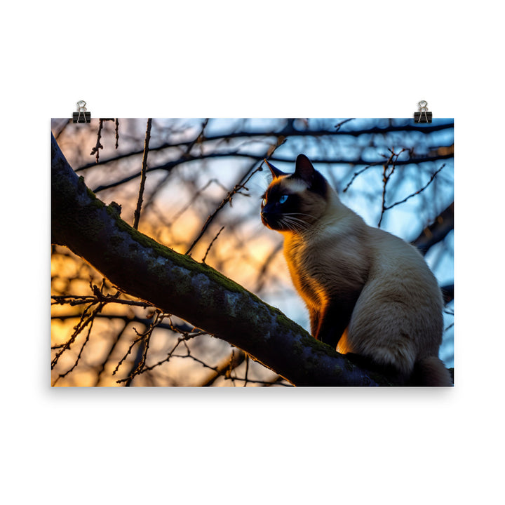 Majestic Siamese at Sunset photo paper poster - Posterfy.AI