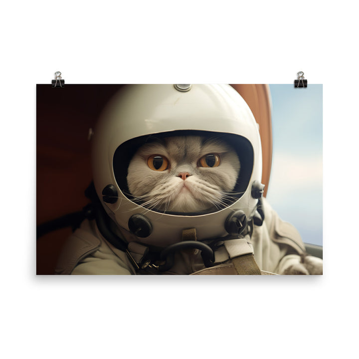 Exotic Shorthair Pilot Photo paper poster - PosterfyAI.com