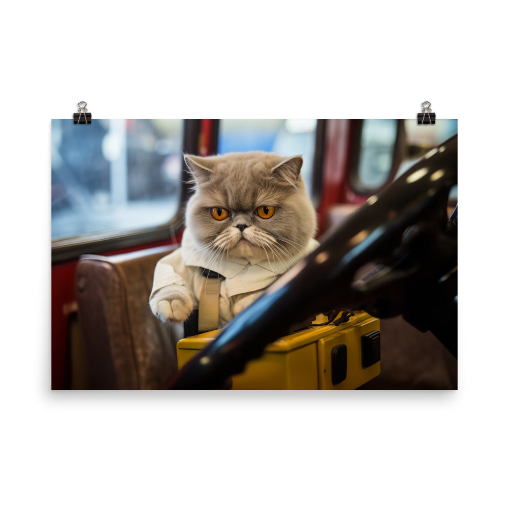 Exotic Shorthair Transit Operator Photo paper poster - PosterfyAI.com