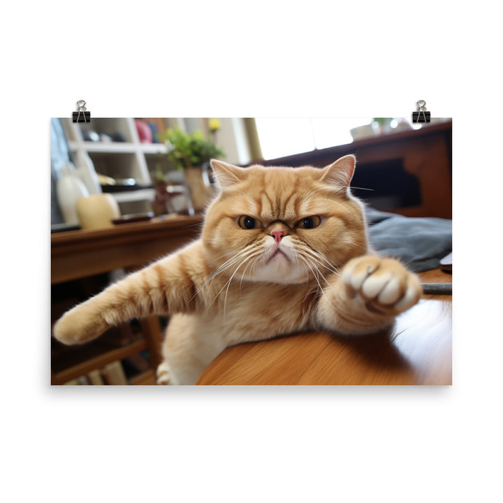 Exotic Shorthair Photo paper poster - PosterfyAI.com