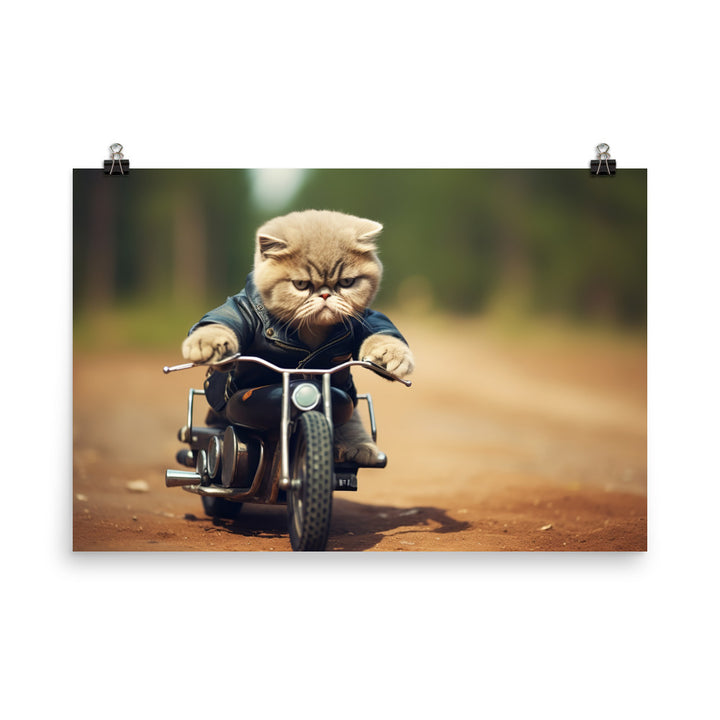 Exotic Shorthair Superbike Athlete Photo paper poster - PosterfyAI.com