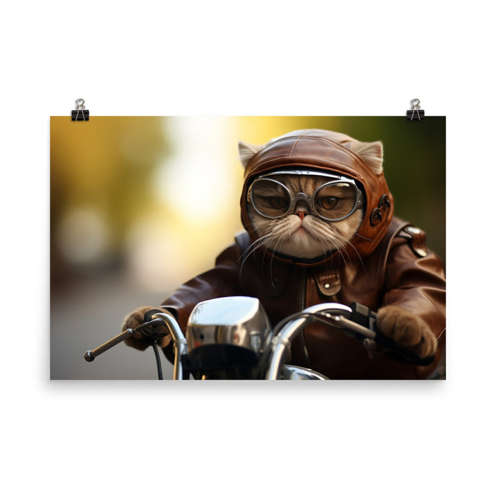 Exotic Shorthair Superbike Athlete Photo paper poster - PosterfyAI.com
