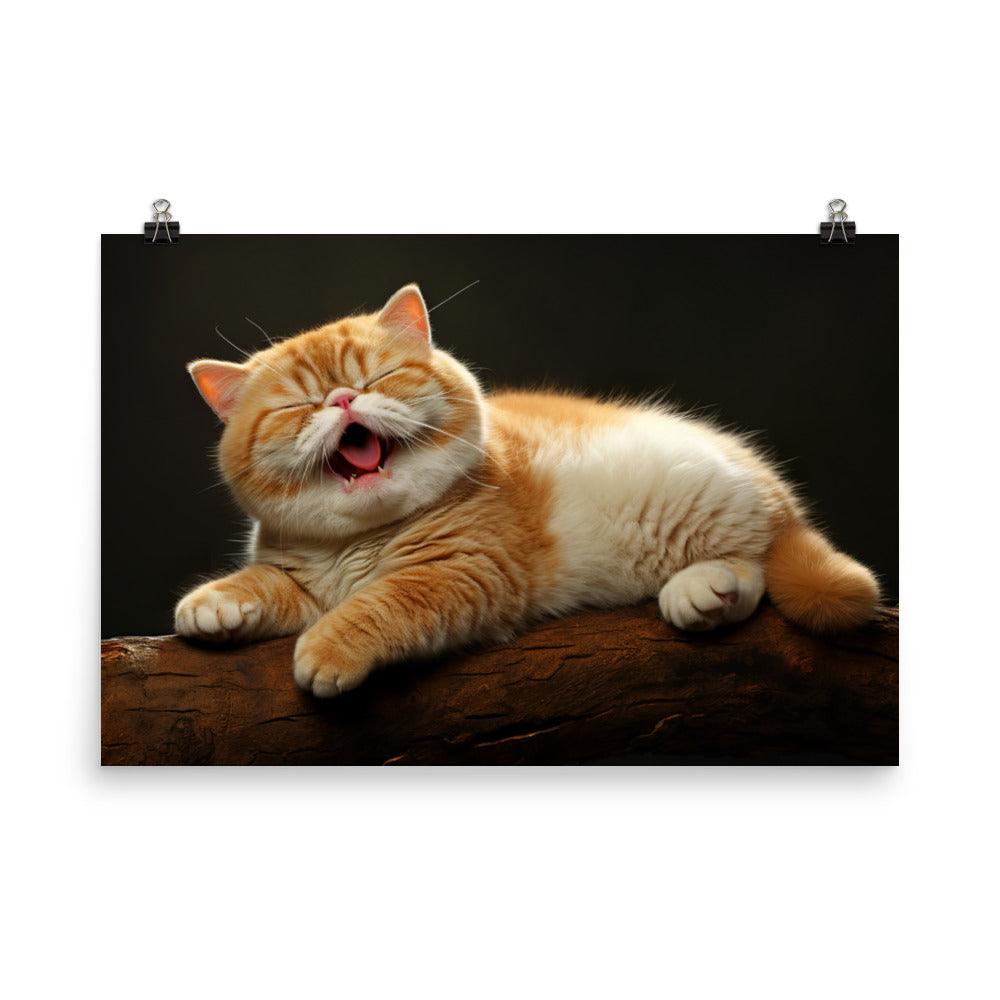 Exotic Shorthair Photo paper poster - PosterfyAI.com