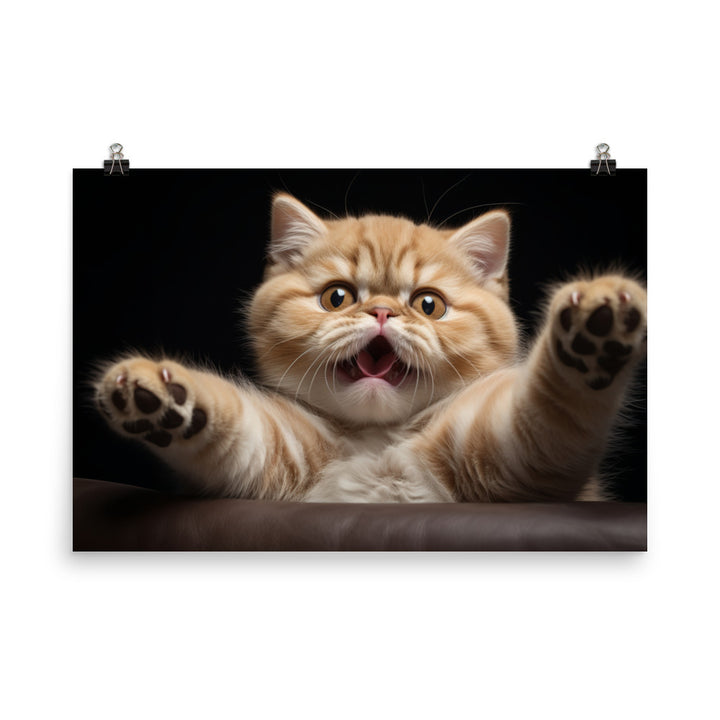 Exotic Shorthair Photo paper poster - PosterfyAI.com