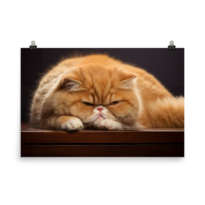 Exotic Shorthair Photo paper poster - PosterfyAI.com
