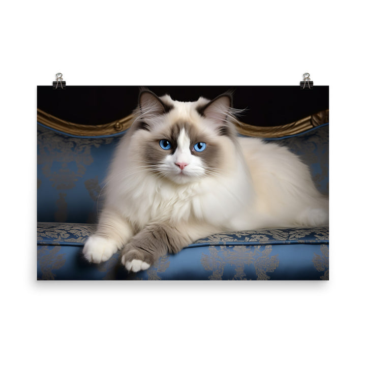 Ragdoll Photo paper poster - PosterfyAI.com