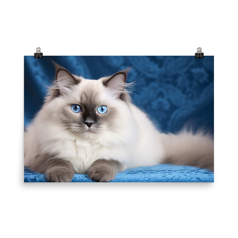 Ragdoll Photo paper poster - PosterfyAI.com