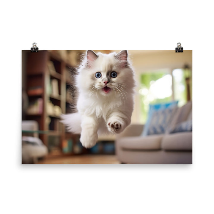 Ragdoll Photo paper poster - PosterfyAI.com