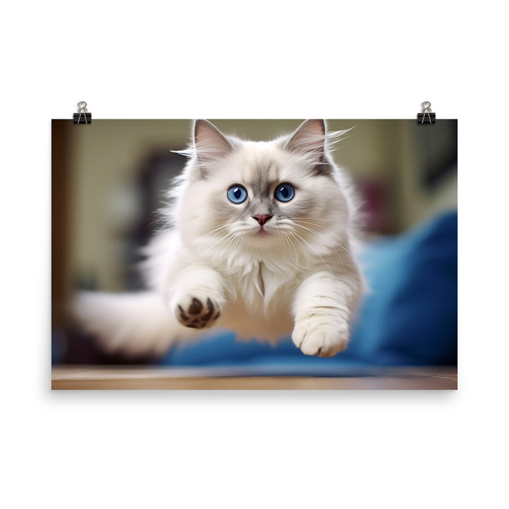 Ragdoll Photo paper poster - PosterfyAI.com
