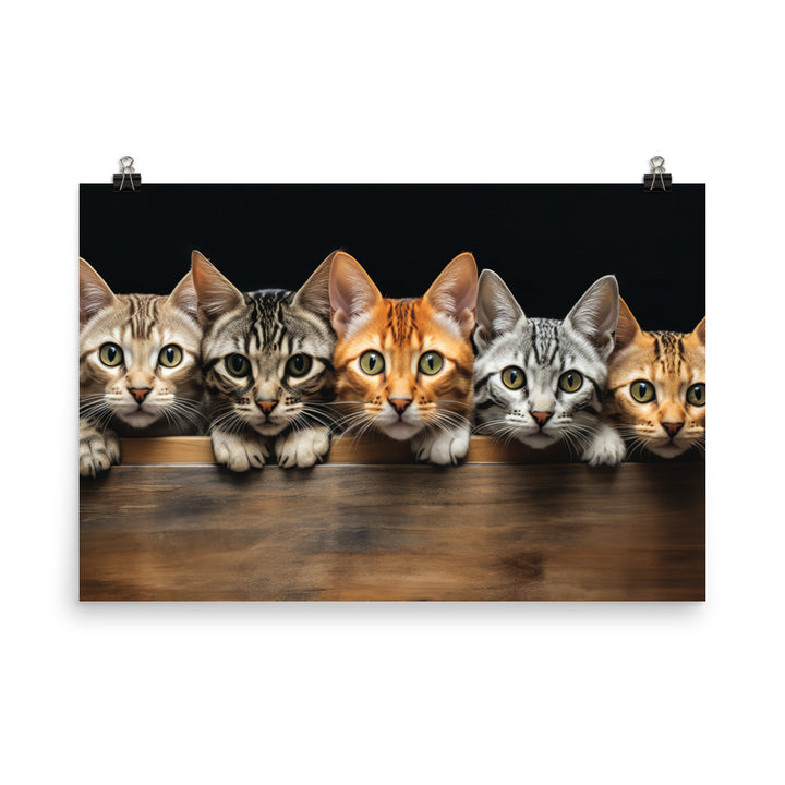 Ocicat Photo paper poster - PosterfyAI.com