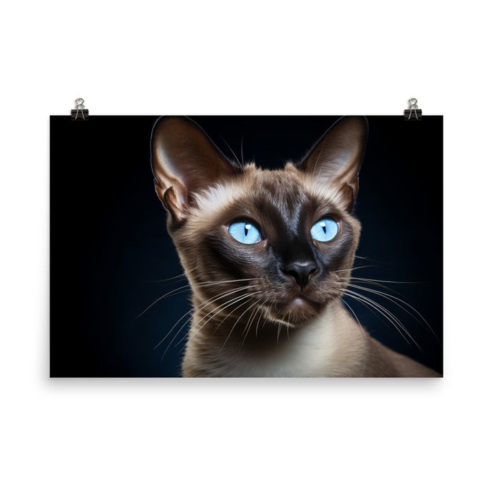 Tonkinese Photo paper poster - PosterfyAI.com