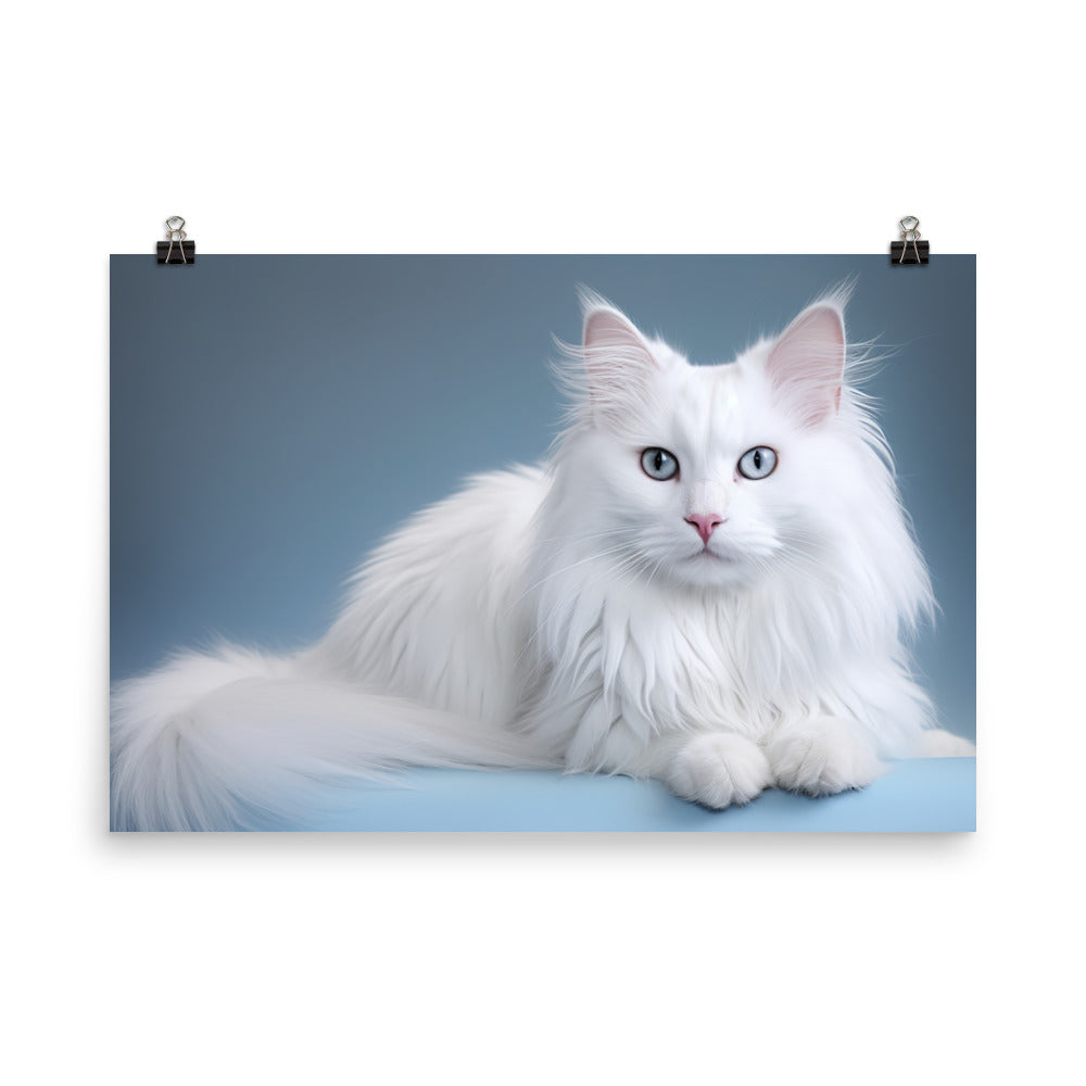 Turkish Angora Photo paper poster - PosterfyAI.com