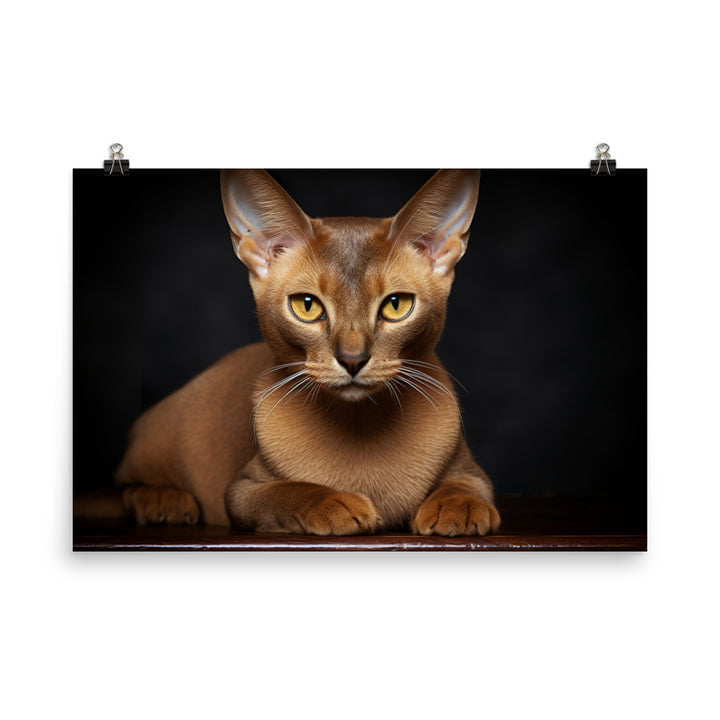 Burmese Photo paper poster - PosterfyAI.com