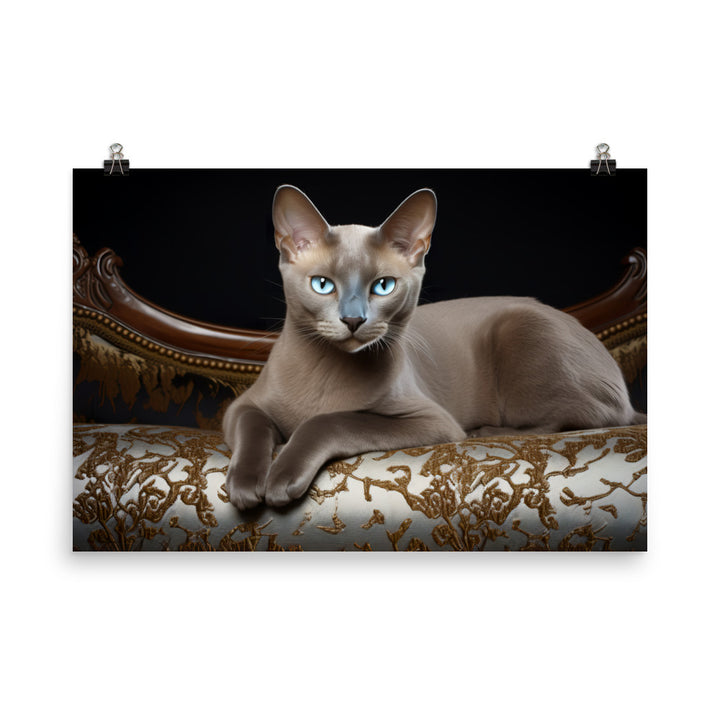 Burmese Photo paper poster - PosterfyAI.com