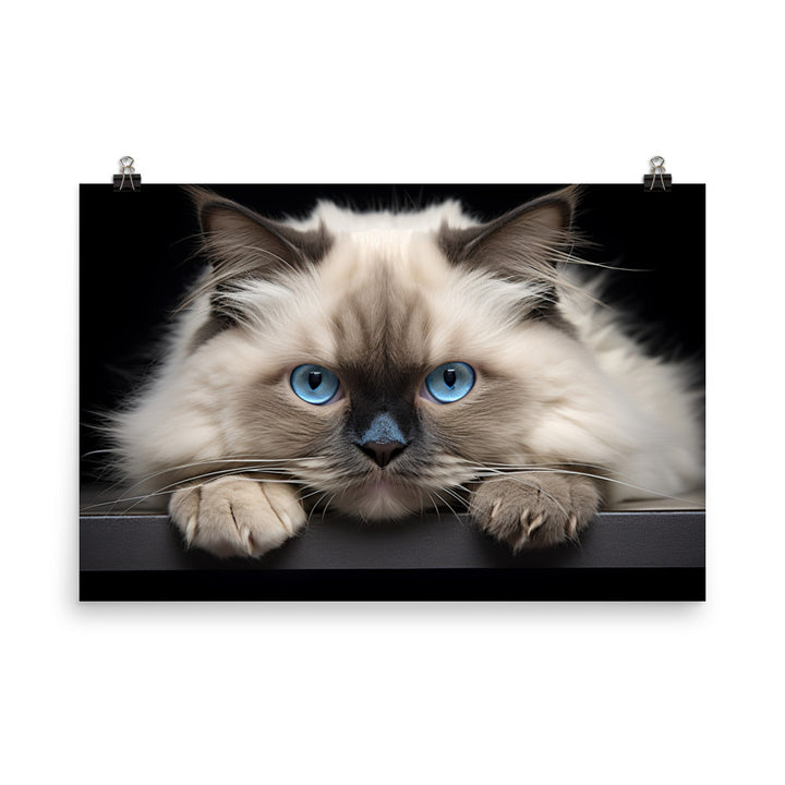 Himalayan Photo paper poster - PosterfyAI.com