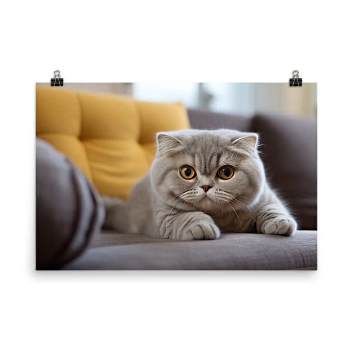 Scottish Fold Photo paper poster - PosterfyAI.com