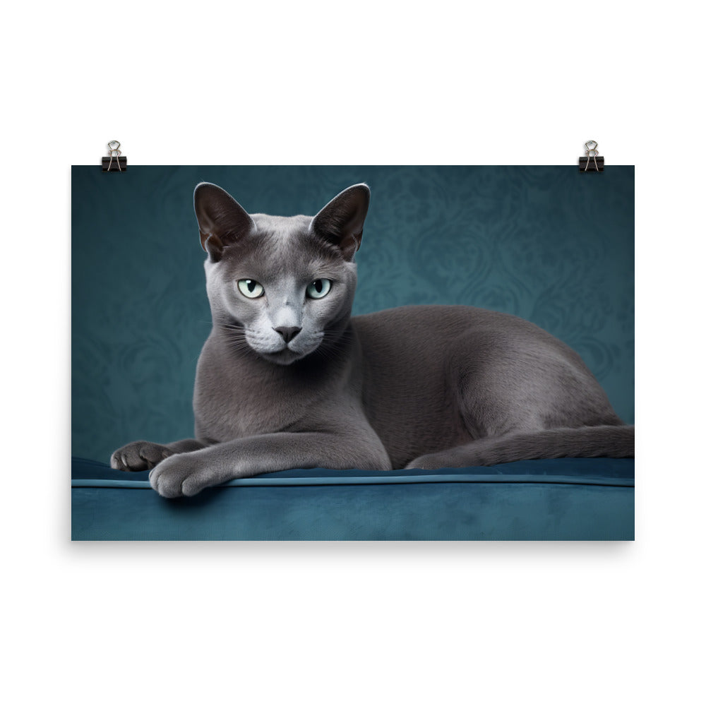 Russian Blue Photo paper poster - PosterfyAI.com