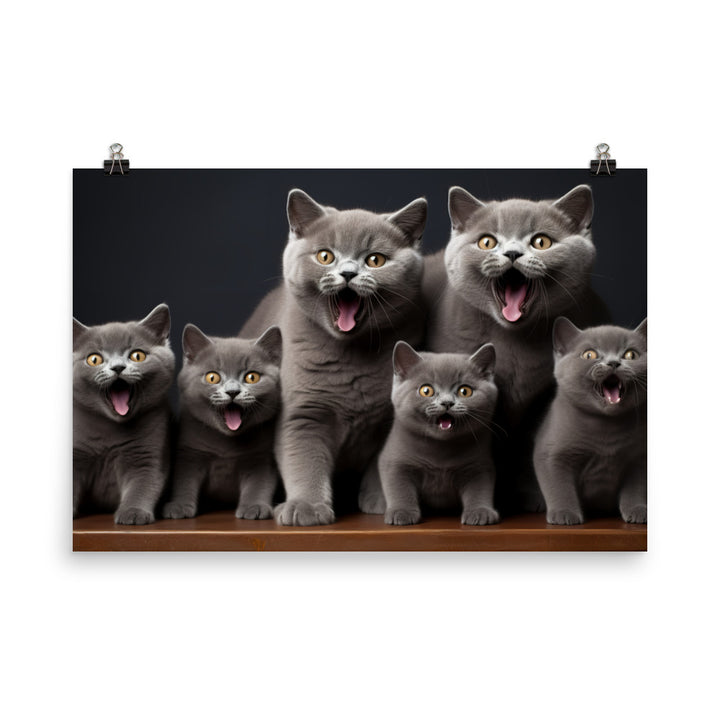 British Shorthair Photo paper poster - PosterfyAI.com