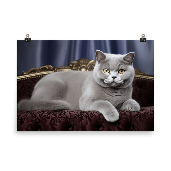 British Shorthair Photo paper poster - PosterfyAI.com