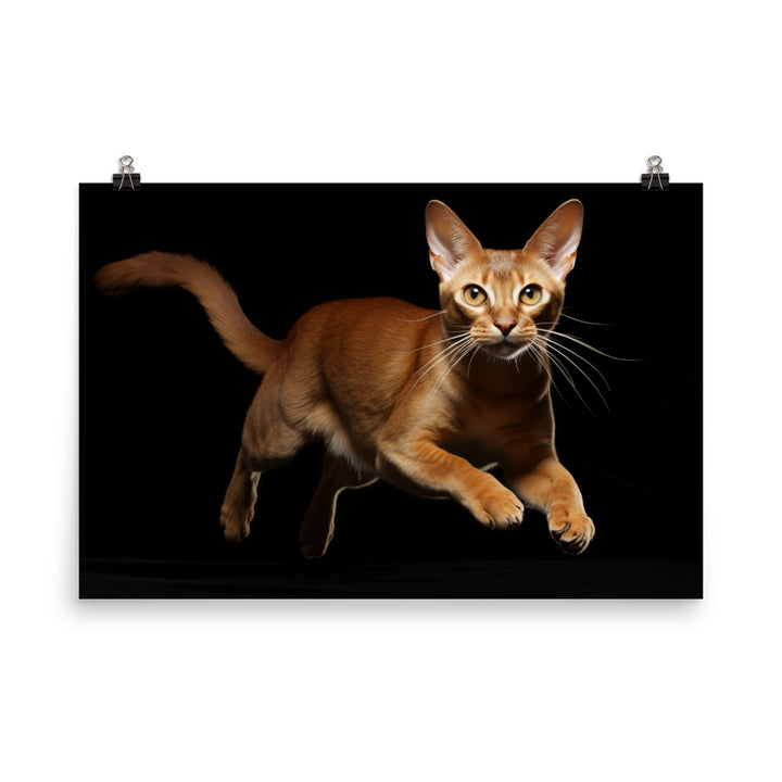 Abyssinian Photo paper poster - PosterfyAI.com
