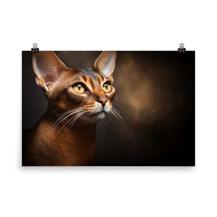 Abyssinian Photo paper poster - PosterfyAI.com