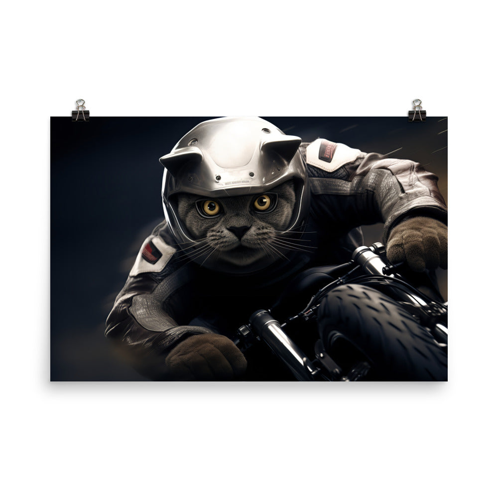 British Shorthair Superbike Athlete Photo paper poster - PosterfyAI.com