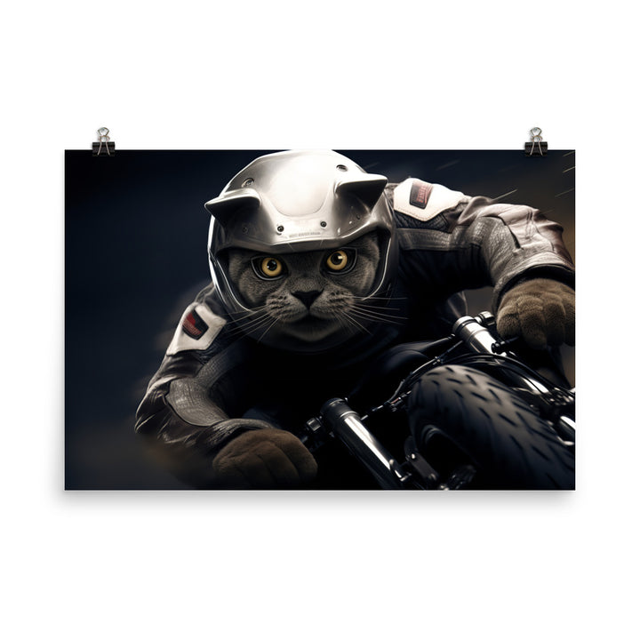 British Shorthair Superbike Athlete Photo paper poster - PosterfyAI.com