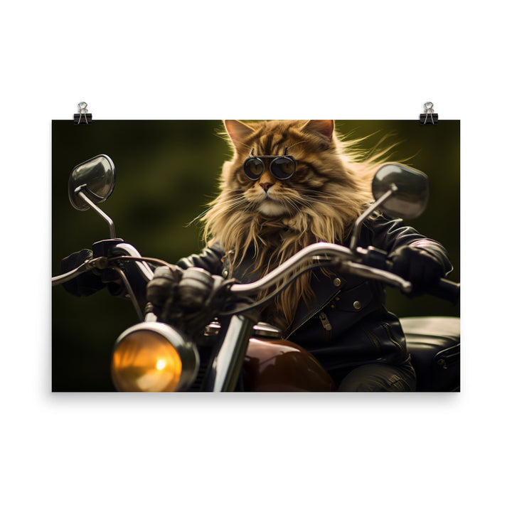 Maine Coon Superbike Athlete Photo paper poster - PosterfyAI.com