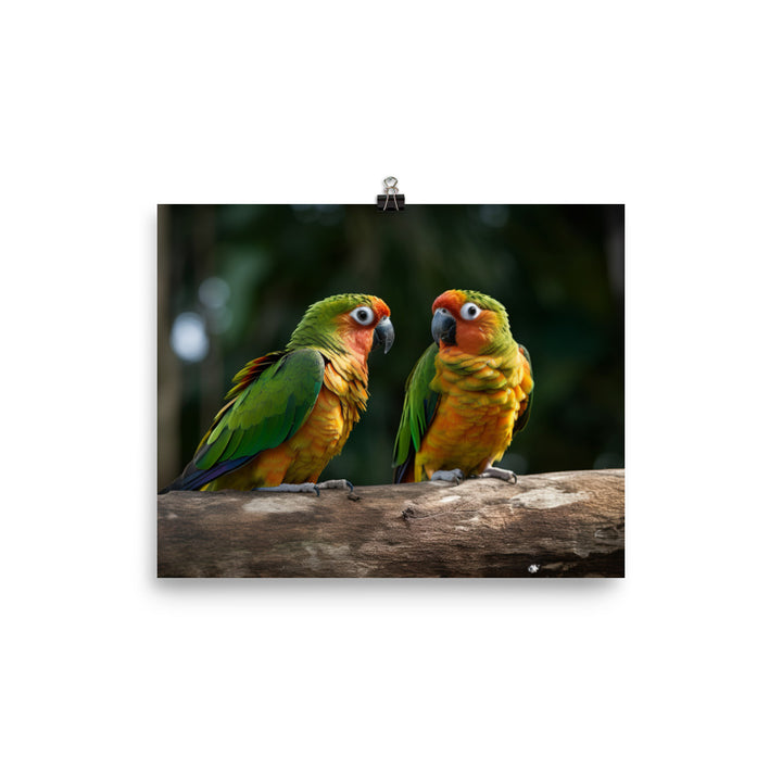 Two Conures perched side by side photo paper poster - Posterfy.AI