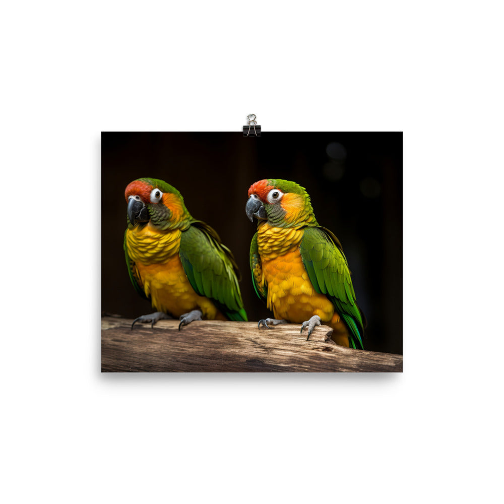 Two Conures perched side by side photo paper poster - Posterfy.AI