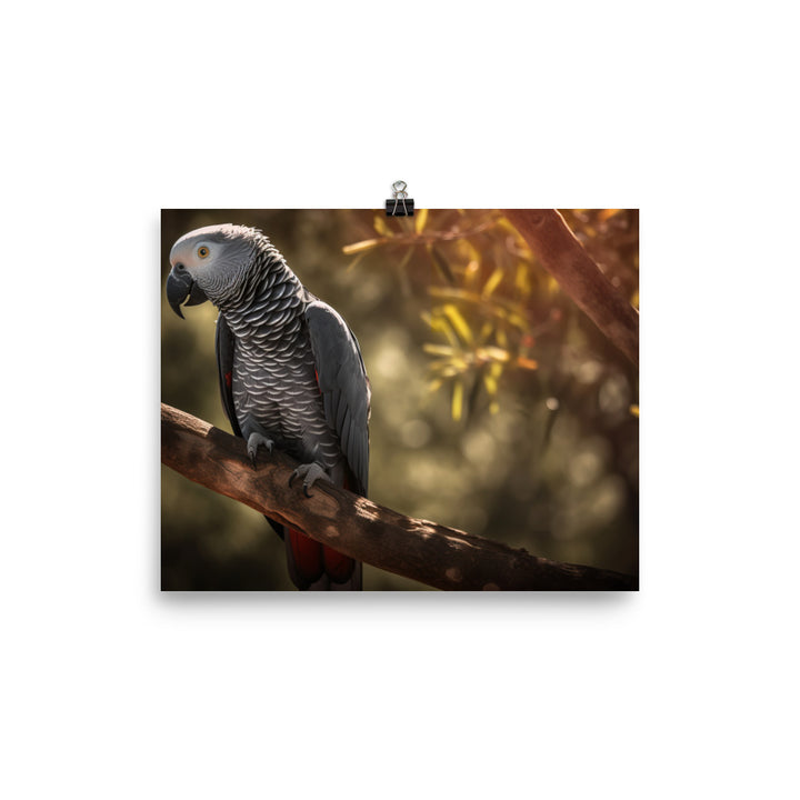 Elegant African Grey Parrot photo paper poster - Posterfy.AI