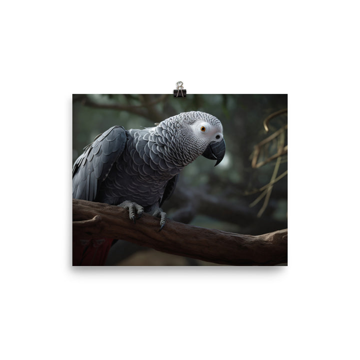Curious African Grey Parrot photo paper poster - Posterfy.AI