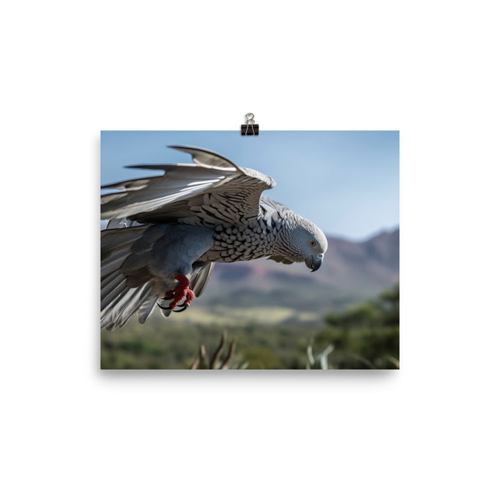African Grey Parrot in Flight photo paper poster - Posterfy.AI