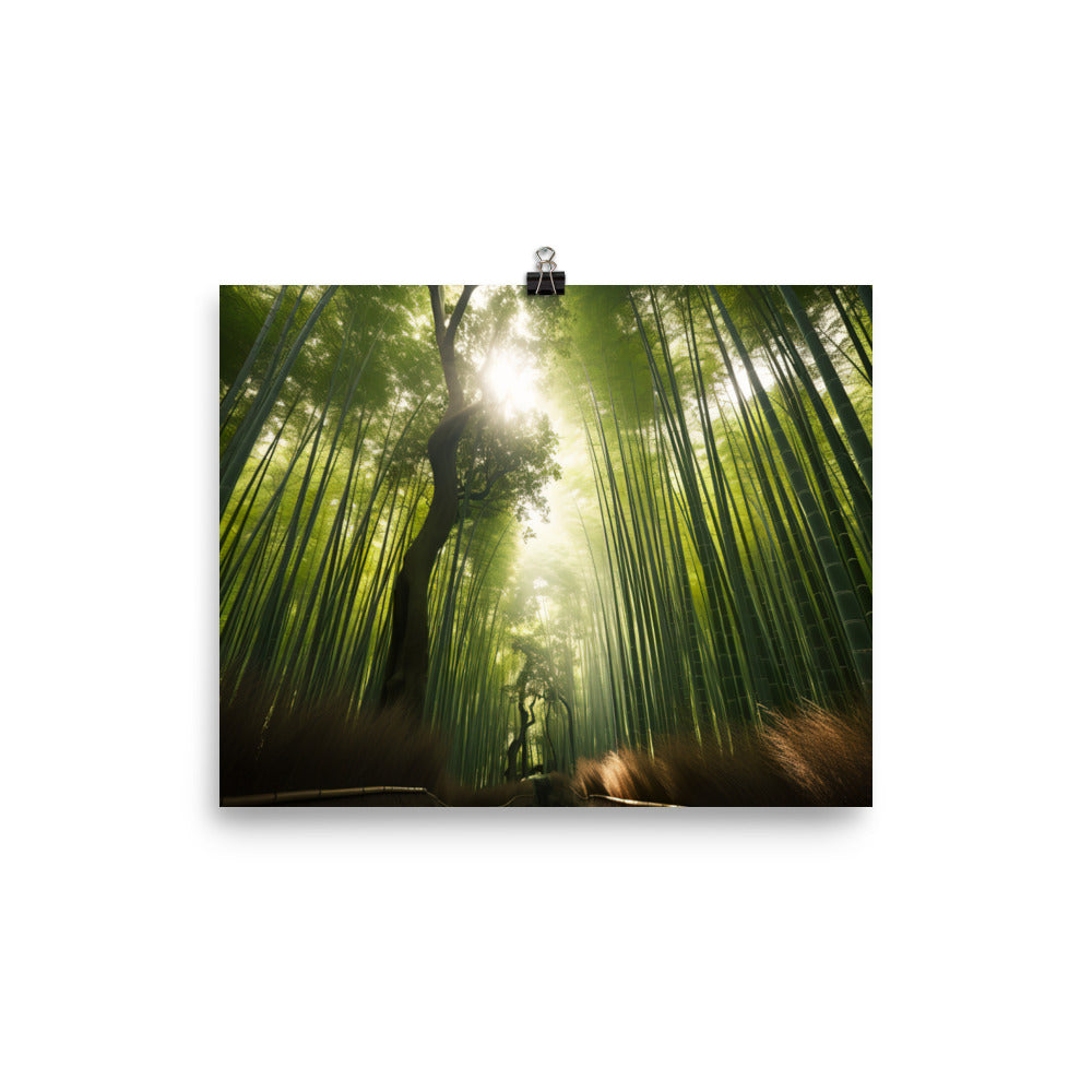 Arashiyama Bamboo Groves Serenity photo  paper poster - Posterfy.AI