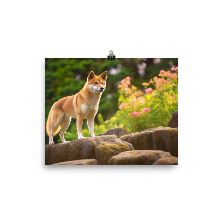 Magnificent Shiba Inu photo paper poster - Posterfy.AI