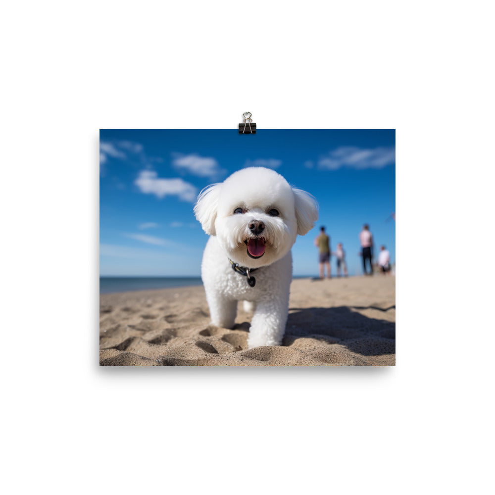 Bichon Frise on a Beach photo paper poster - Posterfy.AI