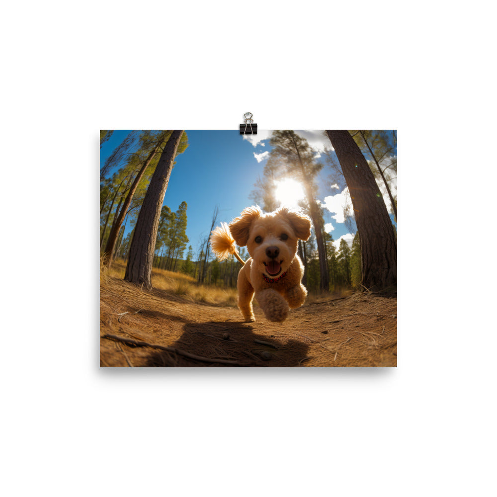 The Playful Poodle photo paper poster - Posterfy.AI