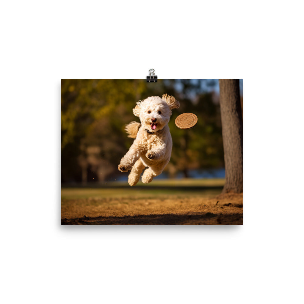 The Playful Poodle in Action photo paper poster - Posterfy.AI