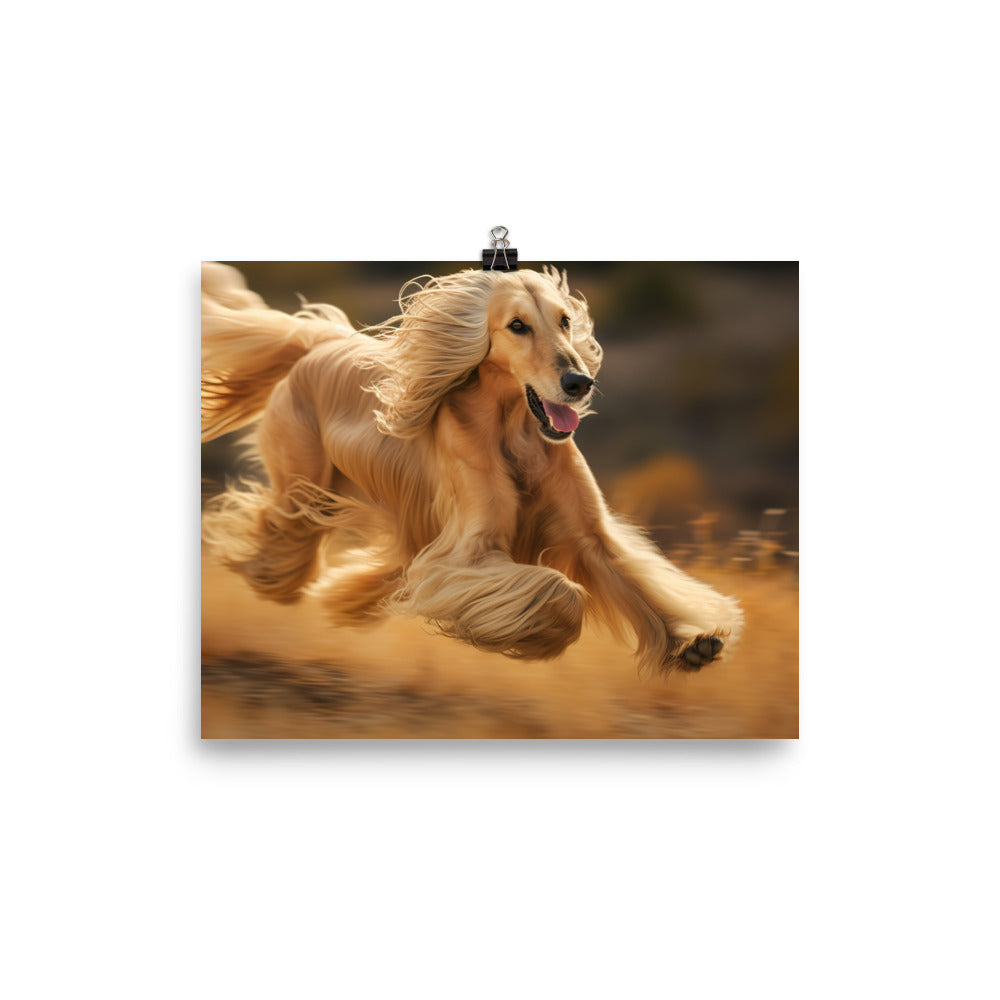 Graceful Afghan Hound in motion photo paper poster - Posterfy.AI