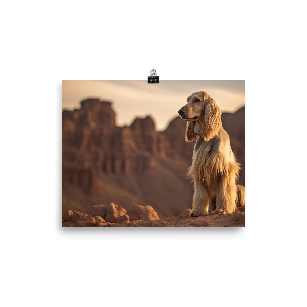 Afghan Hound in a natural environment photo paper poster - Posterfy.AI