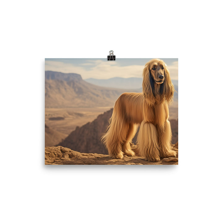 Afghan Hound in a natural environment photo paper poster - Posterfy.AI