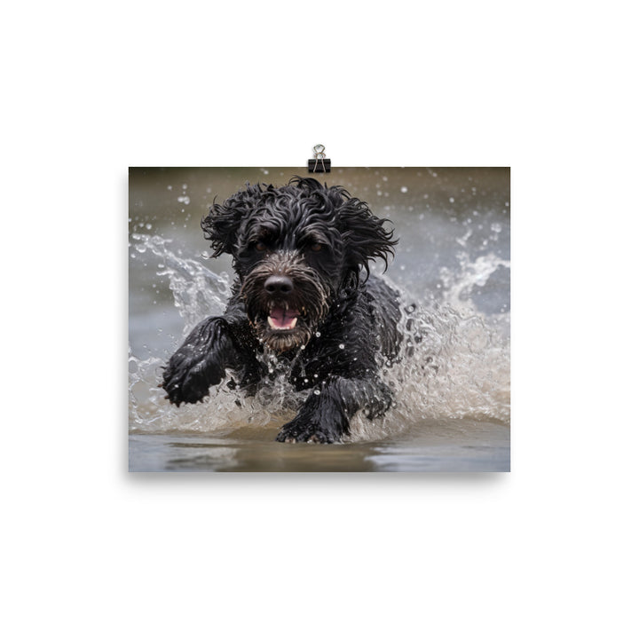 Portuguese Water Dog playing photo paper poster - Posterfy.AI