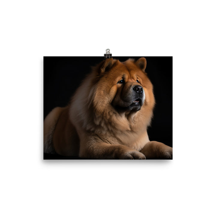 Chow Chow Sitting Proudly photo paper poster - Posterfy.AI