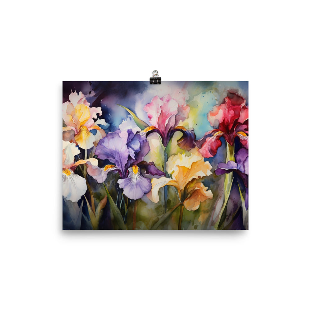 Irises in Full Bloom photo paper poster - Posterfy.AI