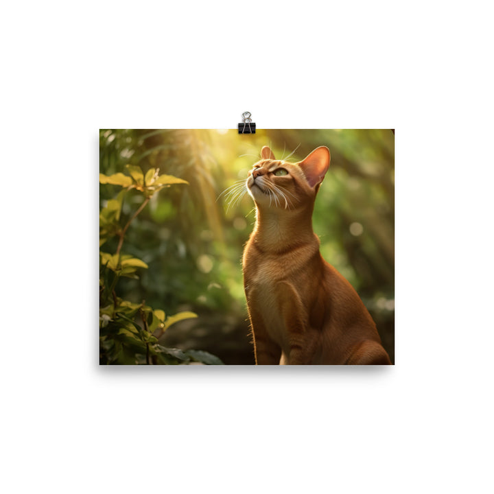 Elegance of Abyssinian Cats photo paper poster - Posterfy.AI