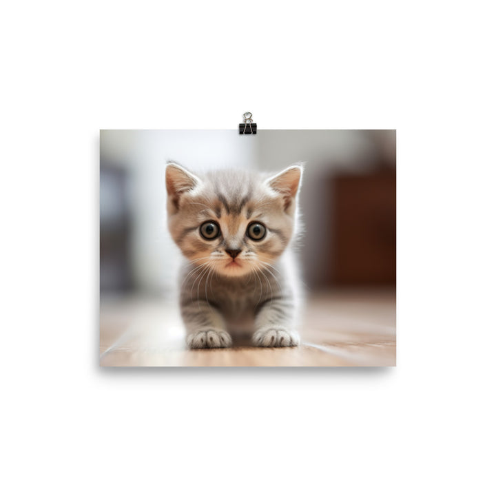 British Shorthair Kitten photo paper poster - Posterfy.AI